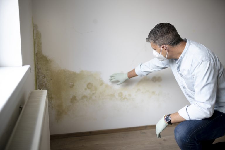 rising damp stoke-on-trent